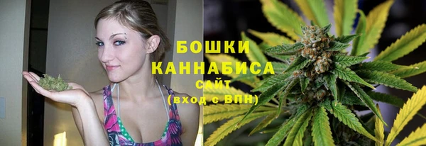 сатива Дмитров