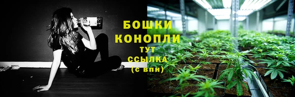 сатива Дмитров