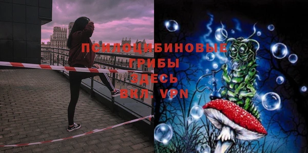 сатива Дмитров