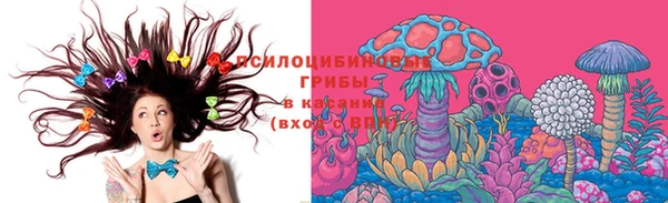 сатива Дмитров
